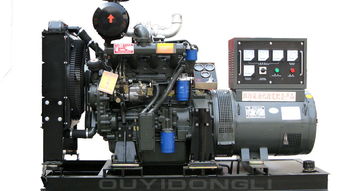 30kW柴油發(fā)電機組 為養(yǎng)殖場提供可靠電力保障的優(yōu)選設(shè)備