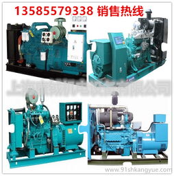 武漢康鉞機電 專業(yè)提供yc2018d 15kw玉柴柴油發(fā)電機組直銷與租賃服務(wù)